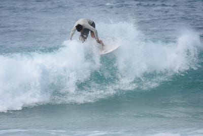 DSC_8948.JPG