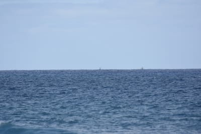 DSC_8955.JPG