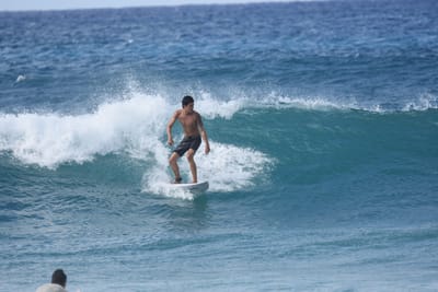 DSC_8979.JPG