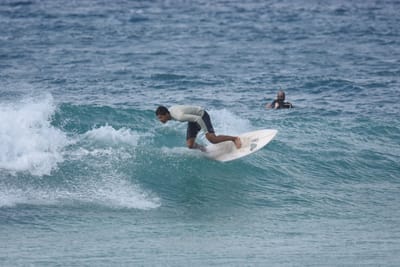 DSC_9010.JPG