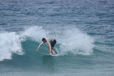 DSC_9013.JPG