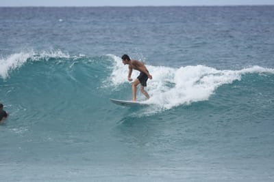 DSC_9037.JPG
