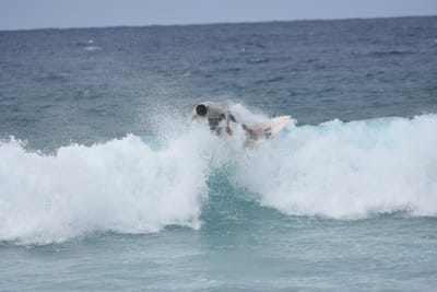 DSC_9046.JPG