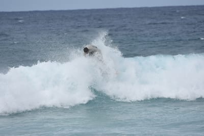 DSC_9047.JPG