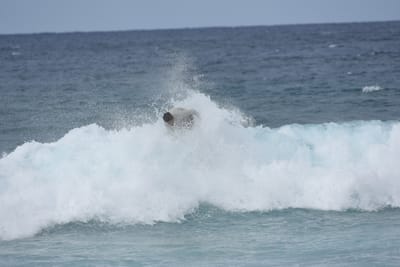 DSC_9048.JPG
