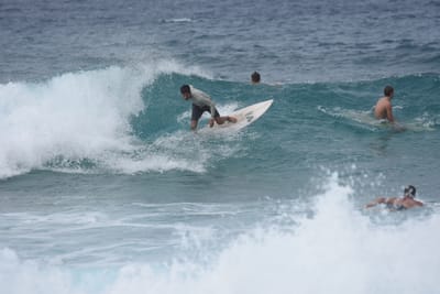 DSC_9050.JPG
