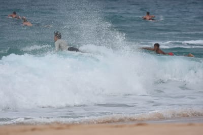 DSC_9080.JPG