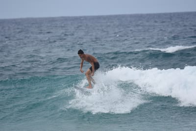 DSC_9130.JPG