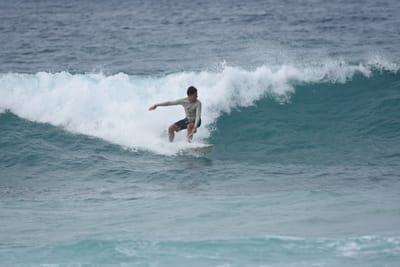 DSC_9147.JPG