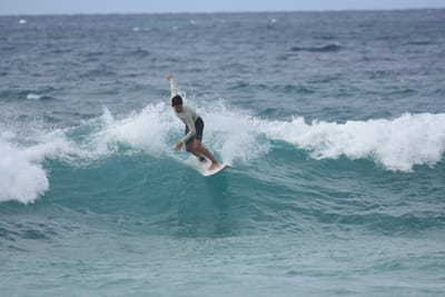 DSC_9154.JPG