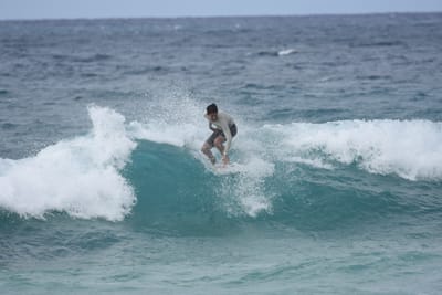 DSC_9156.JPG