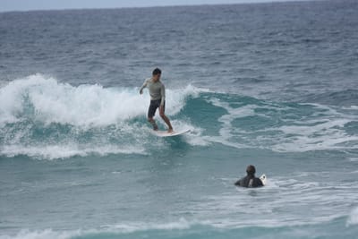 DSC_9174.JPG