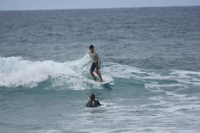 DSC_9176.JPG