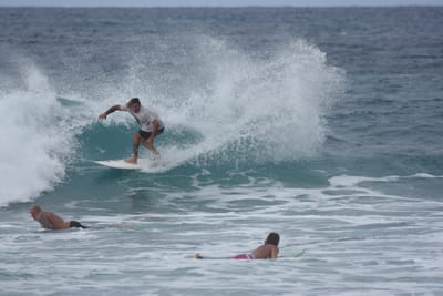 DSC_9178.JPG