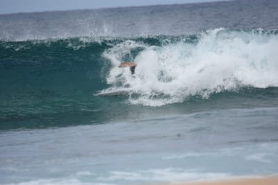 DSC_9204.JPG