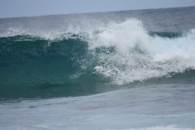 DSC_9205.JPG