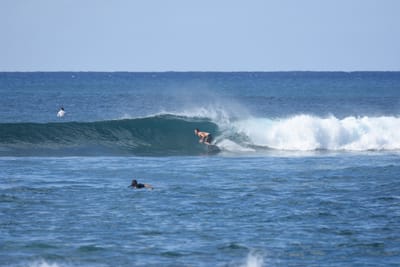 DSC_9246.JPG