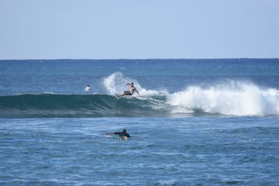 DSC_9247.JPG