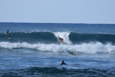 DSC_9251.JPG