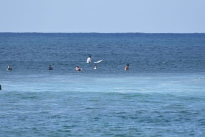 DSC_9252.JPG