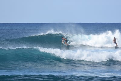 DSC_9253.JPG