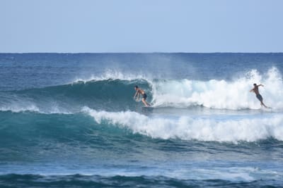 DSC_9254.JPG