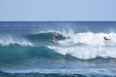 DSC_9255.JPG