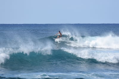 DSC_9256.JPG