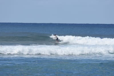 DSC_9266.JPG