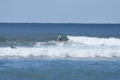 DSC_9267.JPG