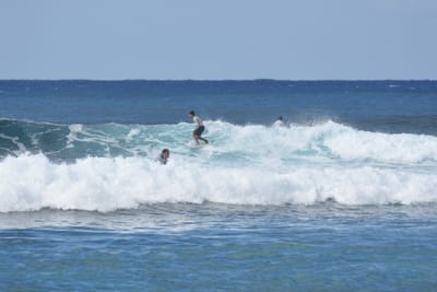 DSC_9268.JPG