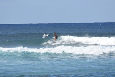 DSC_9271.JPG
