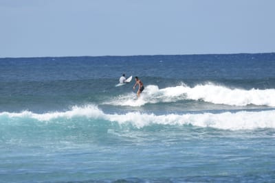 DSC_9272.JPG
