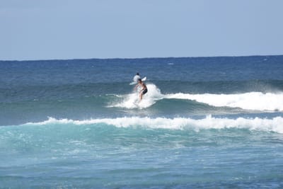 DSC_9273.JPG