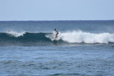 DSC_9278.JPG
