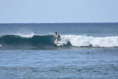 DSC_9279.JPG