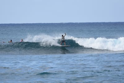 DSC_9290.JPG