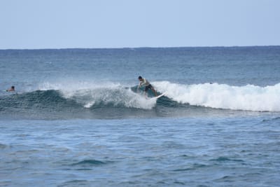 DSC_9291.JPG