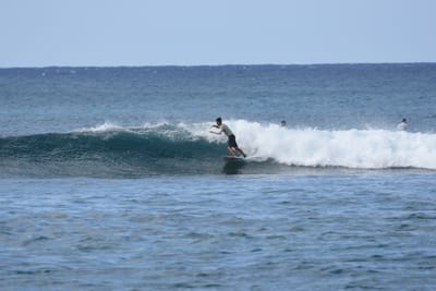 DSC_9293.JPG
