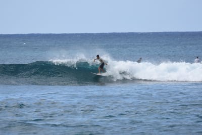 DSC_9294.JPG