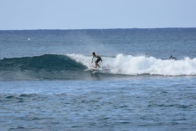 DSC_9295.JPG