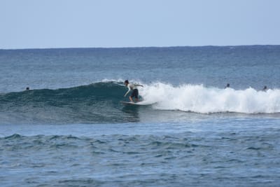 DSC_9296.JPG