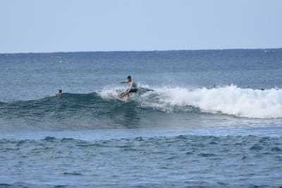 DSC_9298.JPG