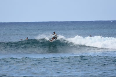 DSC_9299.JPG