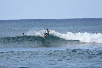 DSC_9300.JPG