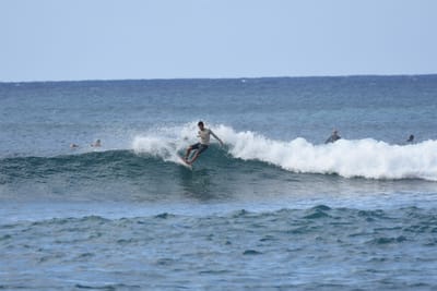 DSC_9301.JPG