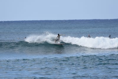 DSC_9303.JPG