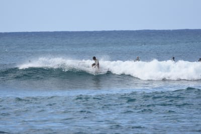 DSC_9304.JPG