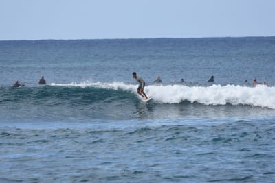 DSC_9305.JPG