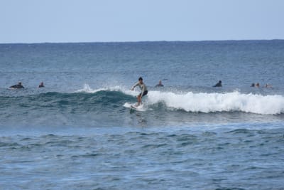 DSC_9306.JPG